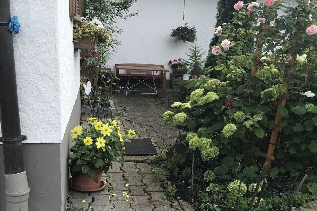A garden with a bench, potted plants, and a trellis with climbing plants.