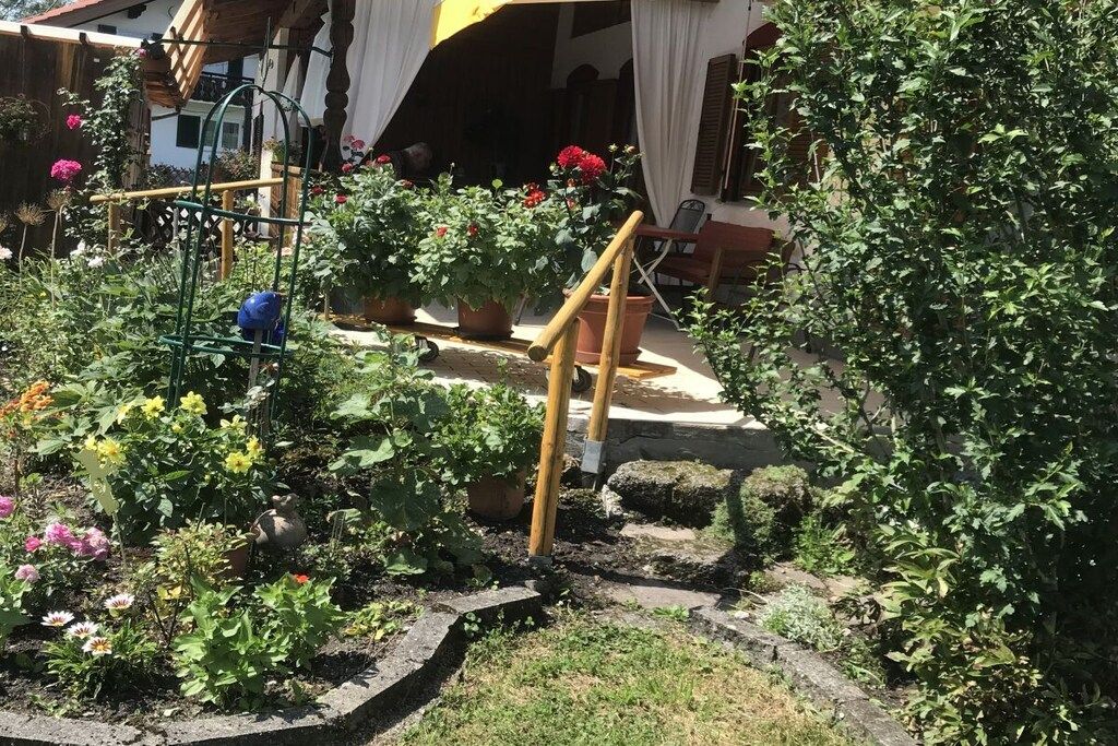 Un jardín con diversas plantas y un enrejado de madera.