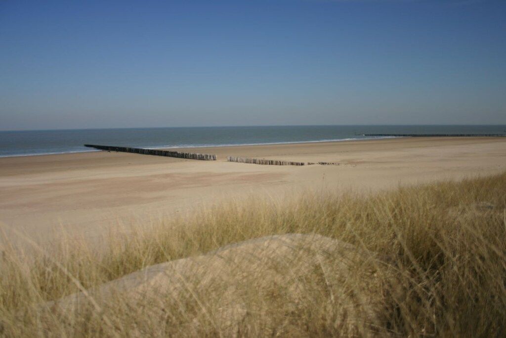 Une plage avec une jetée en bois qui s’avance dans l’eau, entourée d’herbes hautes.