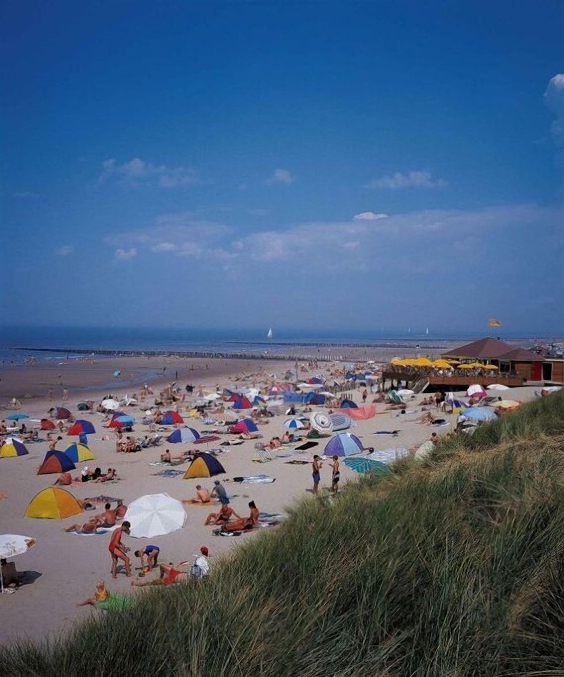 Une plage parsemée de nombreux parasols et tentes aux couleurs vives, un ciel dégagé et une vue lointaine sur la mer.