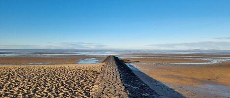 A beach with a cobblestone pathway leading to the water.