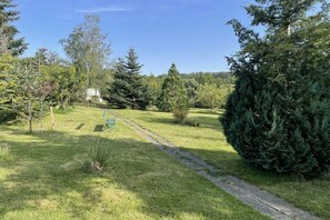 A grassy pathway leading to a building surrounded by trees. - Schröder holiday home (Cattenstedt)