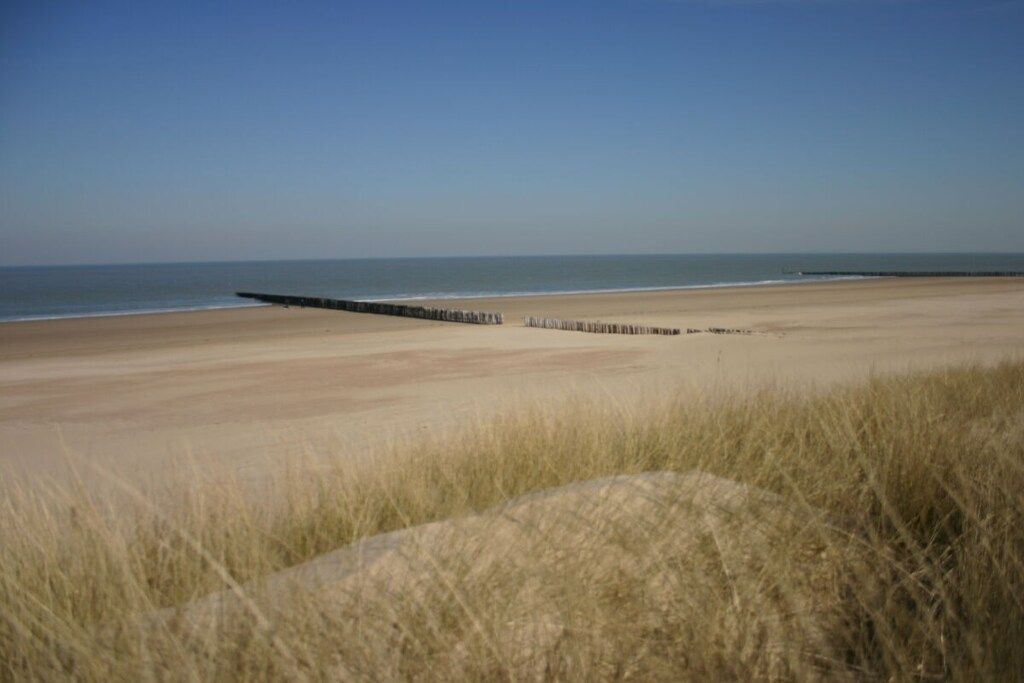 Une plage avec une jetée en bois qui s’avance dans l’eau.