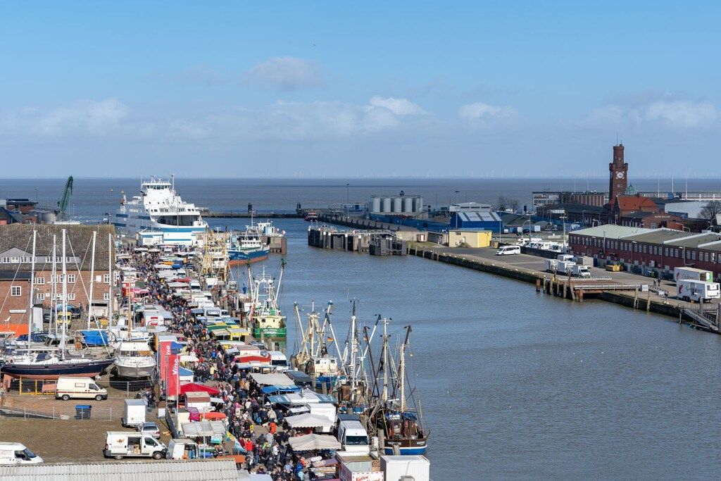 A harbor with boats docked along the piers, a crane, and industrial buildings in the background.