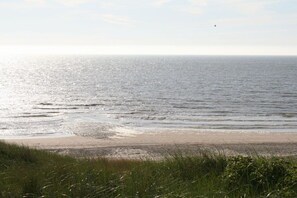 A beach with a clear view of the ocean and a distant bird. - Holiday apartment with 1 bedroom (Callantsoog)