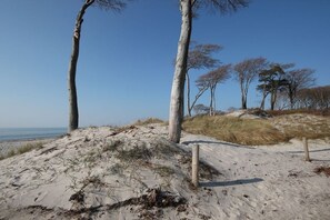 Ein sandiger Strand mit Dünen und spärlicher Vegetation.