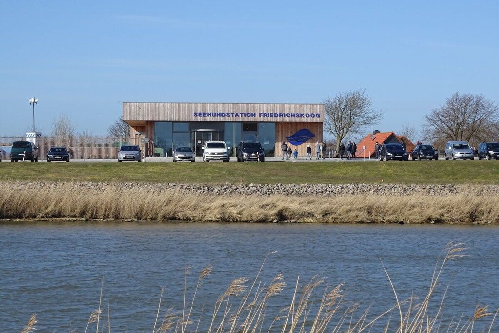 Un bâtiment portant l’inscription « SEENHUNDSSTATION FRIEDRICHSKOOG » et un parking avec plusieurs voitures.