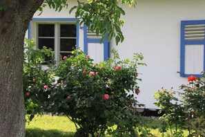 Un bâtiment à l’extérieur blanc et aux volets bleus, entouré d’une végétation luxuriante et d’arbustes en fleurs.