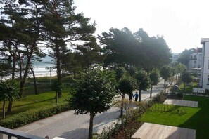Un quartier résidentiel avec une route asphaltée, des arbres et une vue sur la mer.