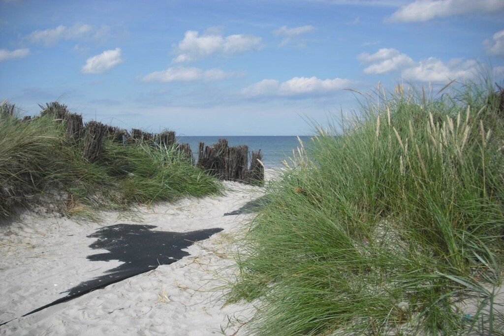 A sandy beach path with grass on either side leading to the sea.
