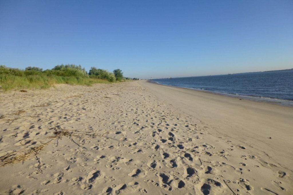 Une plage de sable avec des empreintes et une végétation clairsemée.