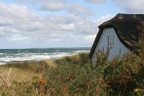 A coastal house with a thatched roof, overlooking the sea. - Holiday home with 3 bedrooms (Wieck a. Darß)