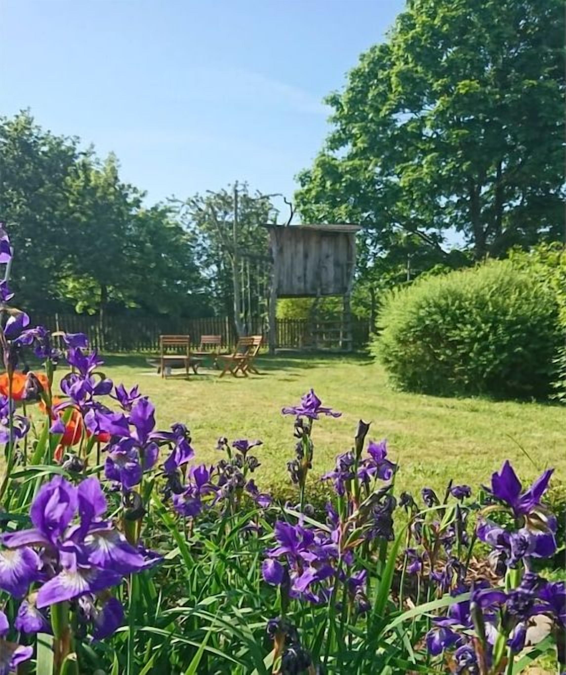 A garden with purple flowers, a wooden structure, and a bench.