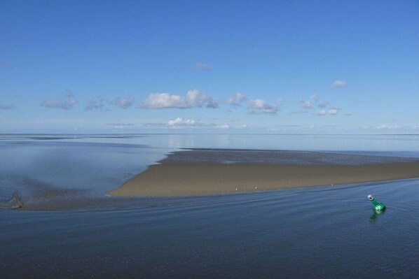Ein Strand mit blauem Himmel und ruhigem Wasser.