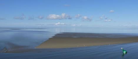 Una playa con cielo despejado y aguas tranquilas.