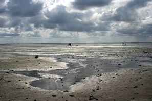 Ein Strand mit feuchtem Sand und Menschen, die spazieren gehen.