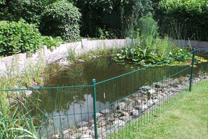 Ein Teich mit einem grünen Metallzaun, umgeben von üppigem Grün und Steinen.