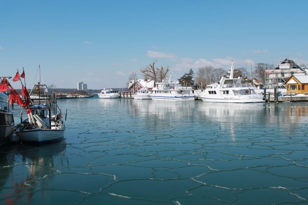 A marina with several boats docked, a clear sky, and buildings in the background.