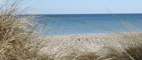 Une plage de sable avec une végétation clairsemée.