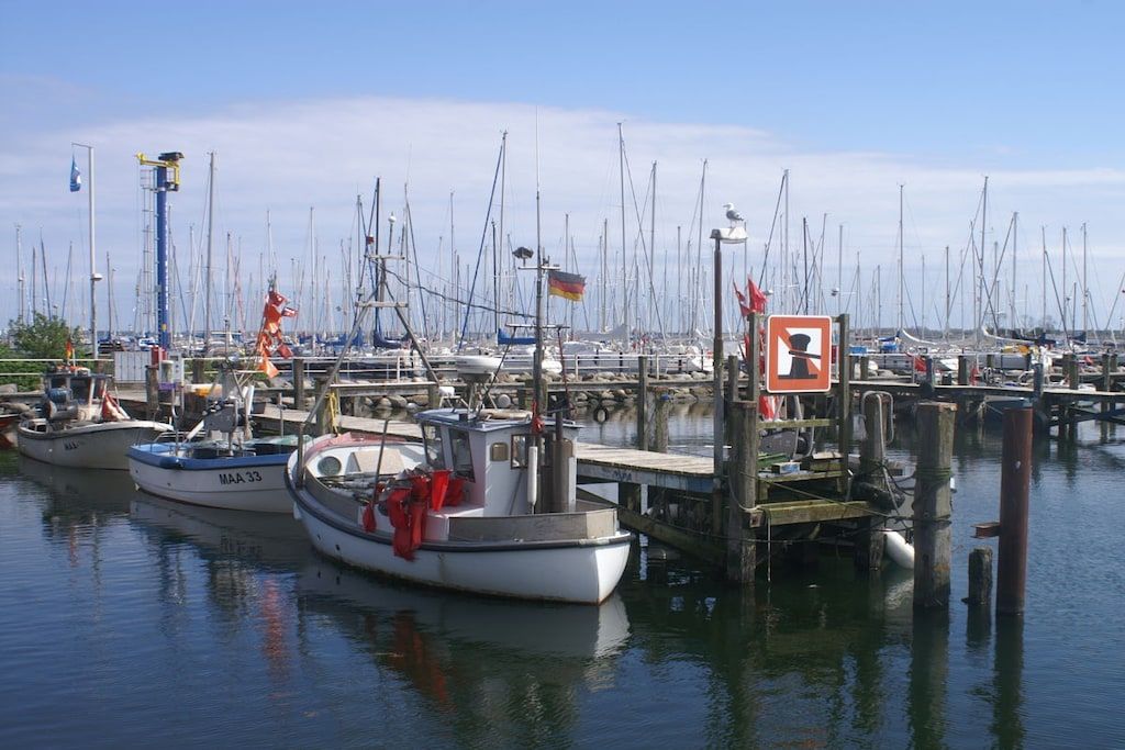 Un port de plaisance où de nombreux bateaux sont amarrés à des quais en bois.