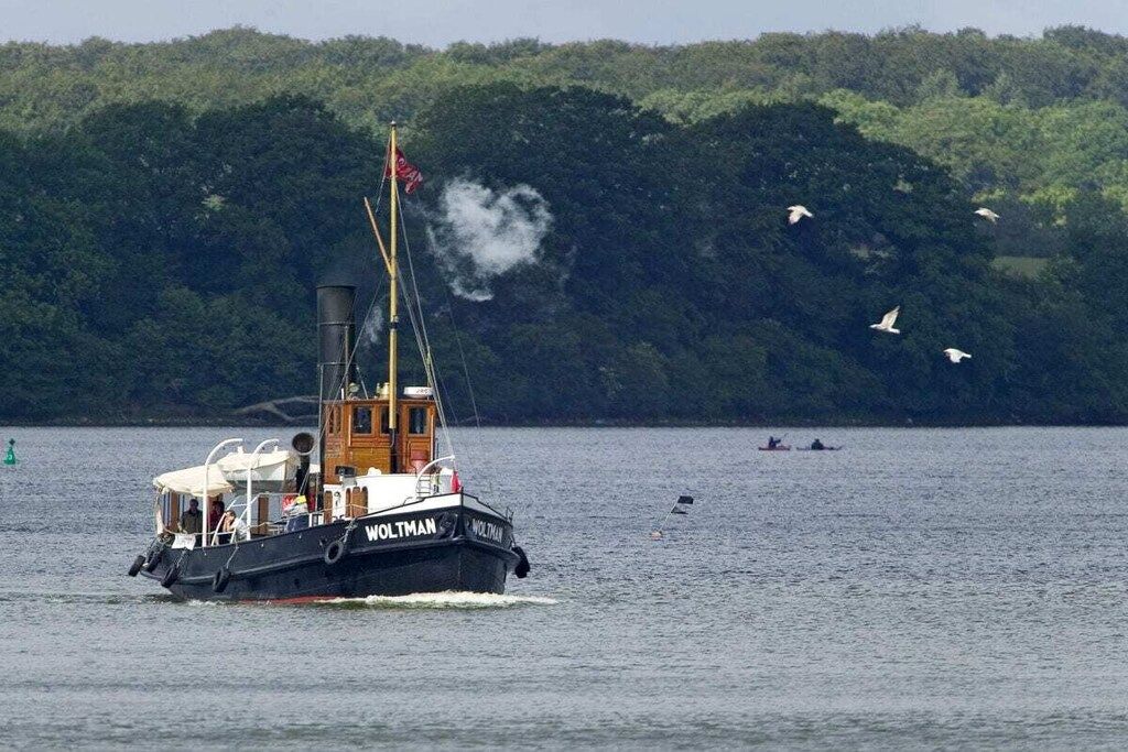 A boat named 'Wolfram' with a cabin and deck seating, sailing on a body of water with a forested shoreline in the background.