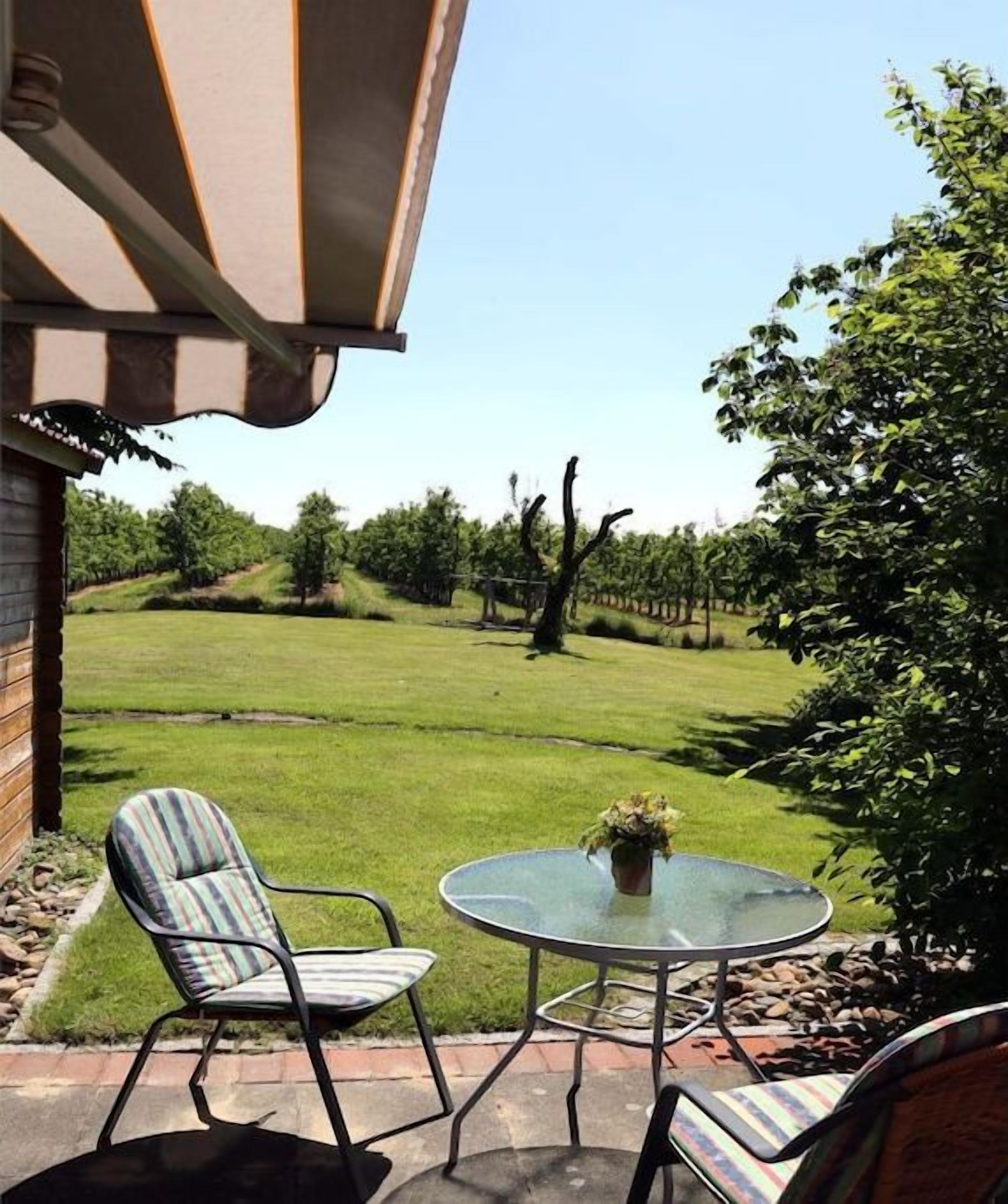 An outdoor patio with a glass table and two chairs, overlooking a well-maintained lawn and vineyard.