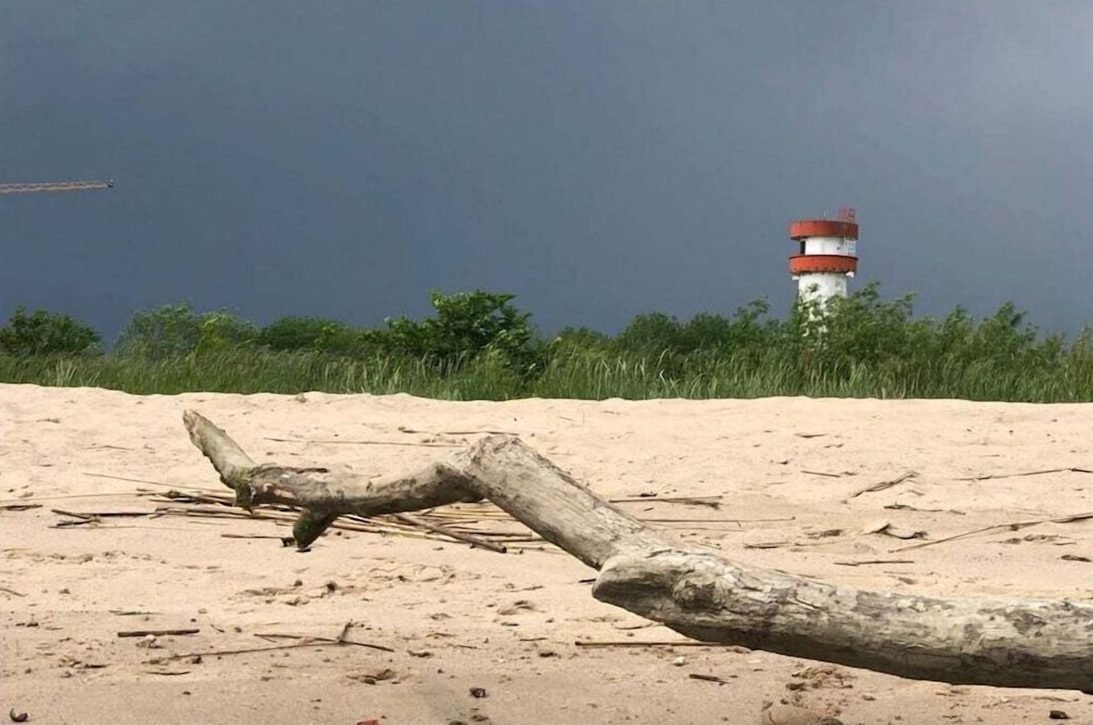 A sandy beach with a large driftwood log and a lighthouse in the background.