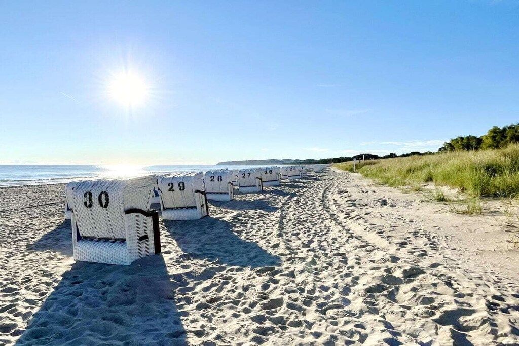 A row of numbered beach chairs on a sandy beach with the ocean in the background.