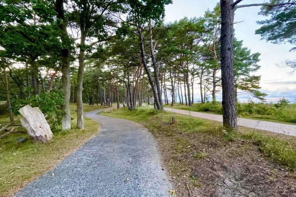 A gravel path winding through a forested area with trees and a view of the water.