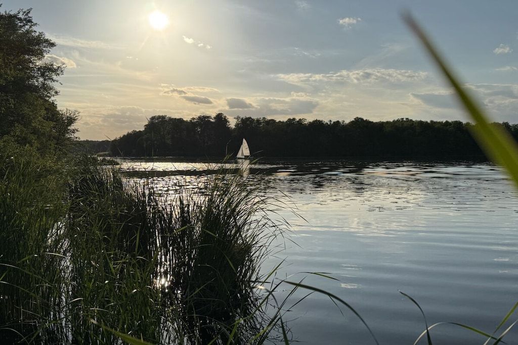 Un lago tranquilo con un velero, rodeado de altas hierbas y árboles bajo un cielo despejado.