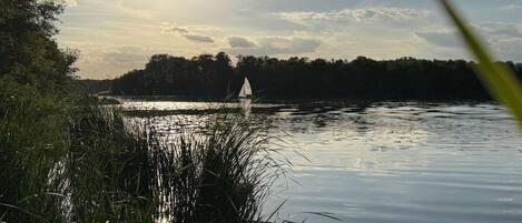 Un lago tranquilo con un velero, rodeado de altas hierbas y árboles bajo un cielo despejado.
