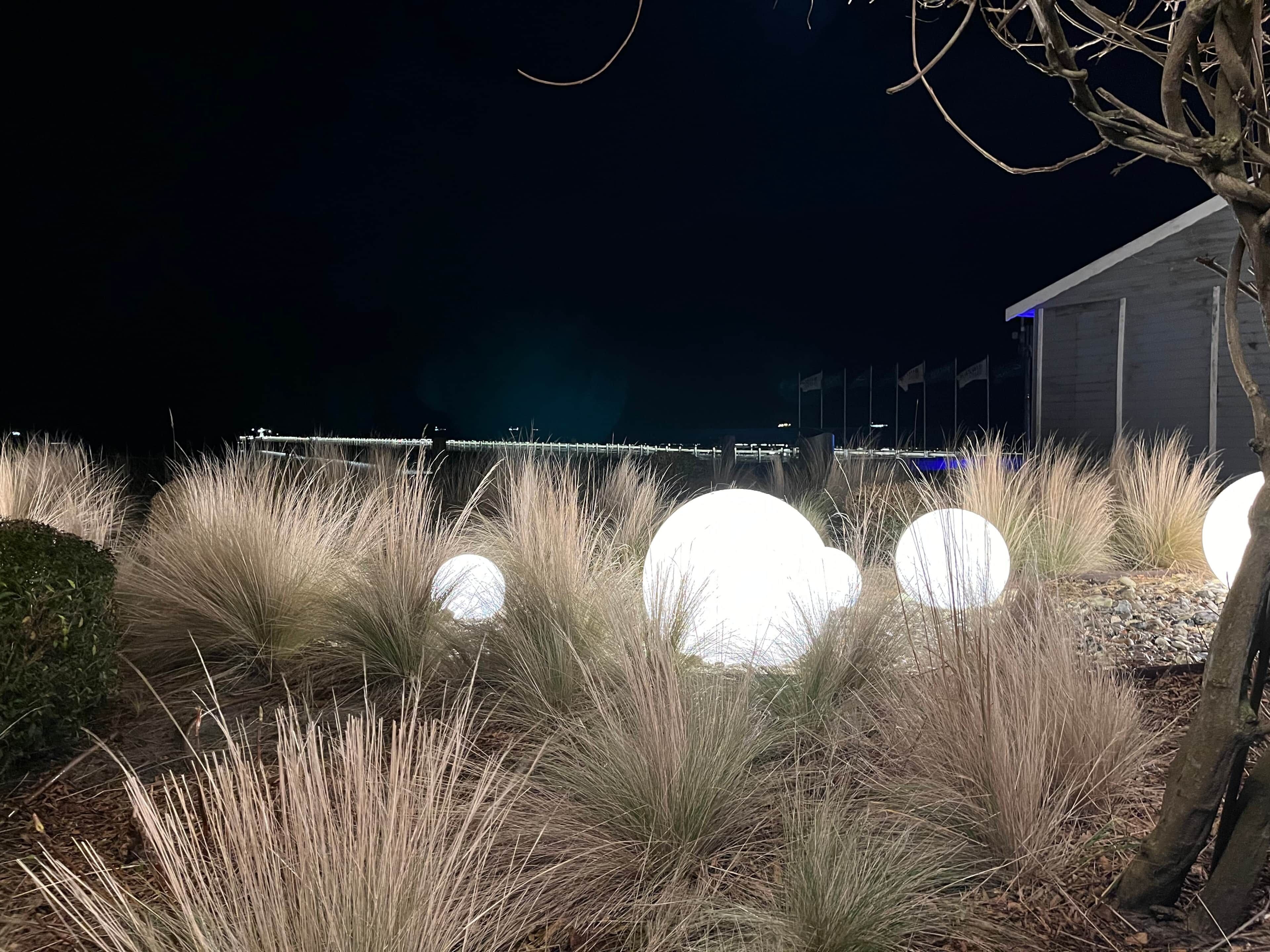 A nighttime outdoor area with tall grasses and illuminated spherical objects, a tree, and a building with flags in the background.