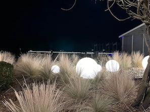A nighttime outdoor area with tall grasses and illuminated spherical objects, a tree, and a building with flags in the background. - Prora Select Vacation Rental in Prora for up to 5 people (Binz)