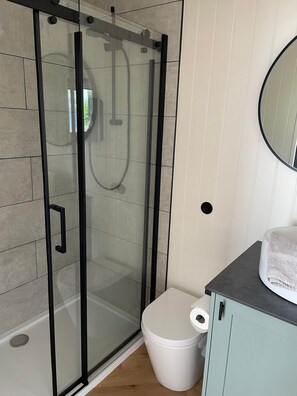 Et badeværelse med et brusebadeværelse med glasvægge, toilet og et skab med spejl.