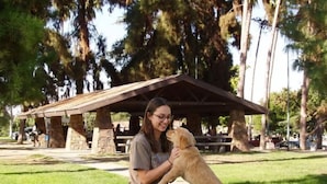 A person sitting on the grass with a dog in a park with a pavilion in the background. - Welcoming to topspad in charming Fresno (Fresno)