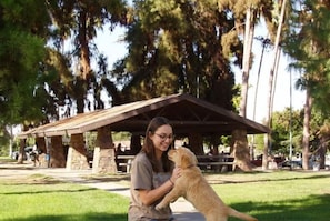 En person sitter på gräset med en hund i en park, och i bakgrunden syns en paviljong.