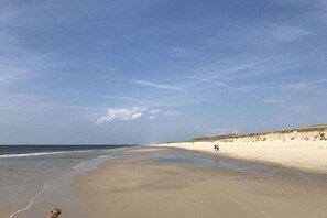 A beach with a dog and a person walking along the shore. - Holiday home with 2 bedrooms (Sylt \/ OT Tinnum)