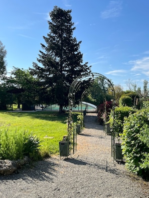 A gravel pathway leading to a metal archway amidst a garden with various plants and a large tree.