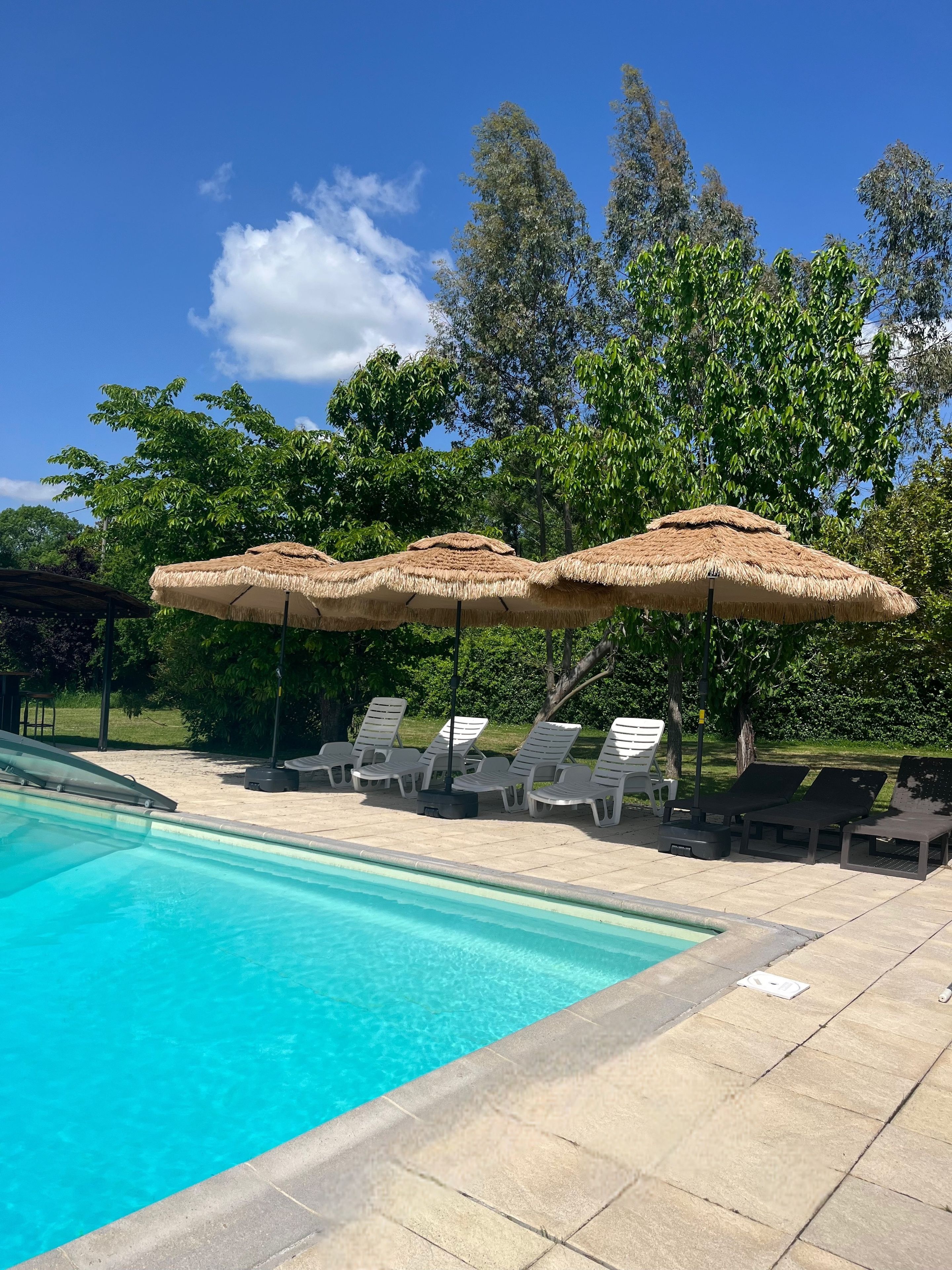 A swimming pool with clear blue water, surrounded by lounge chairs and thatched umbrellas.