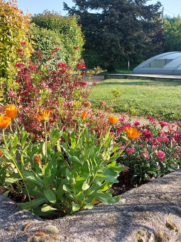 Un jardín con diversas plantas florecientes y una estructura de invernadero al fondo.