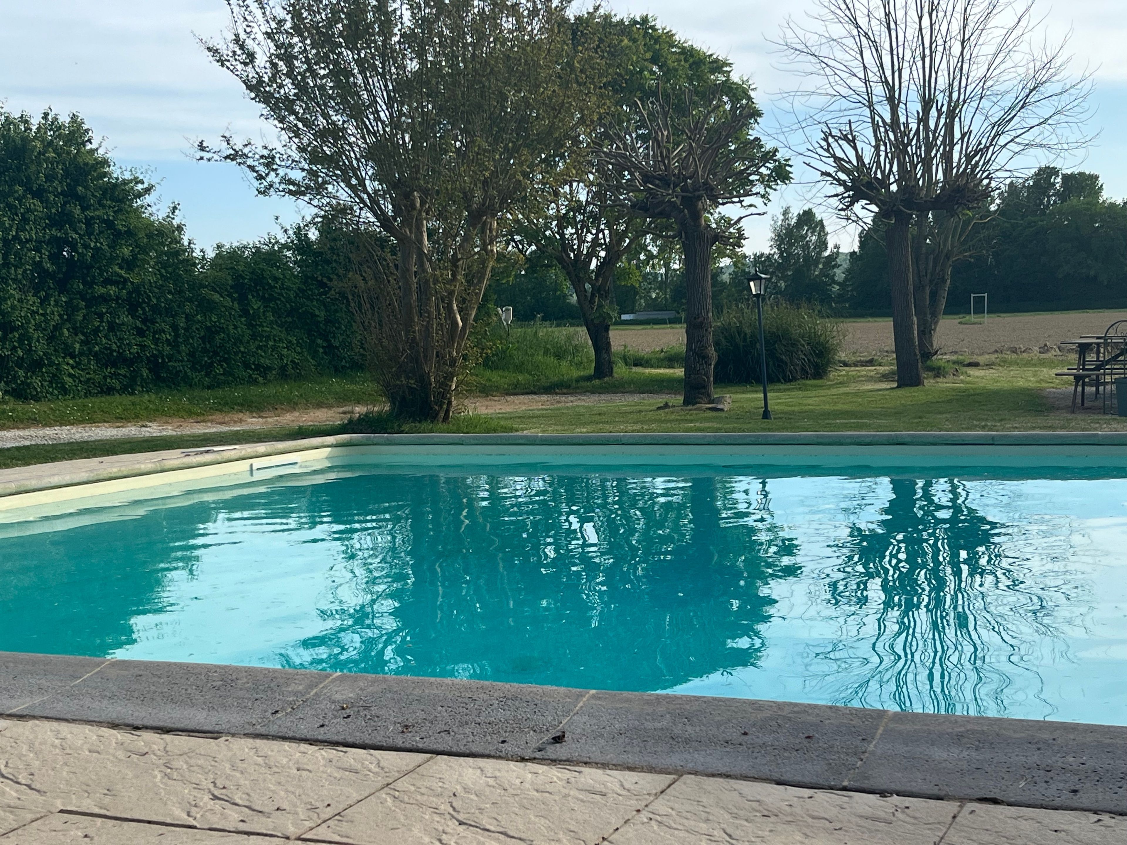 Une piscine à l’eau claire, entourée d’arbres et bordée d’une pelouse.