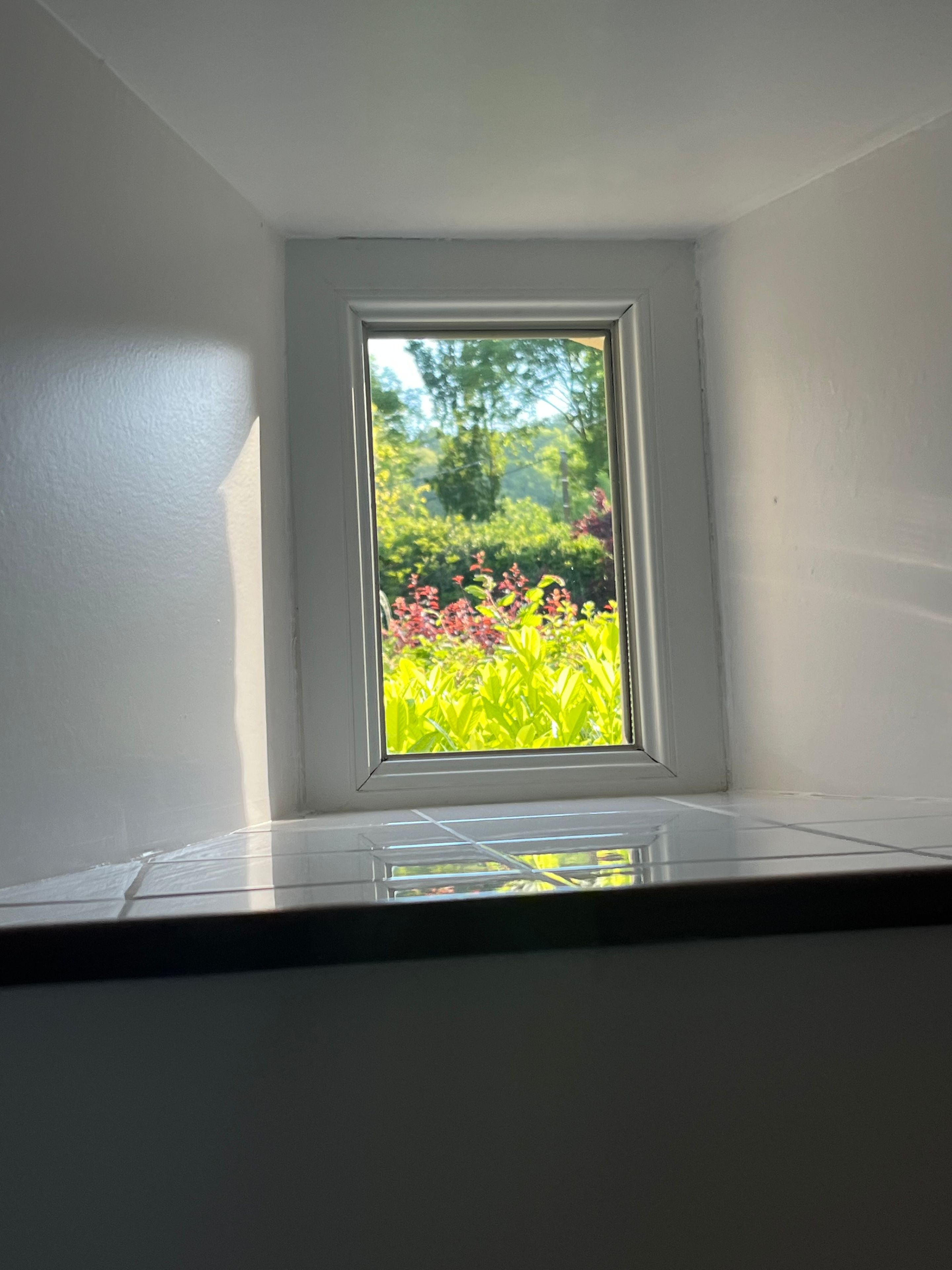 Een raam met uitzicht op een tuin.
