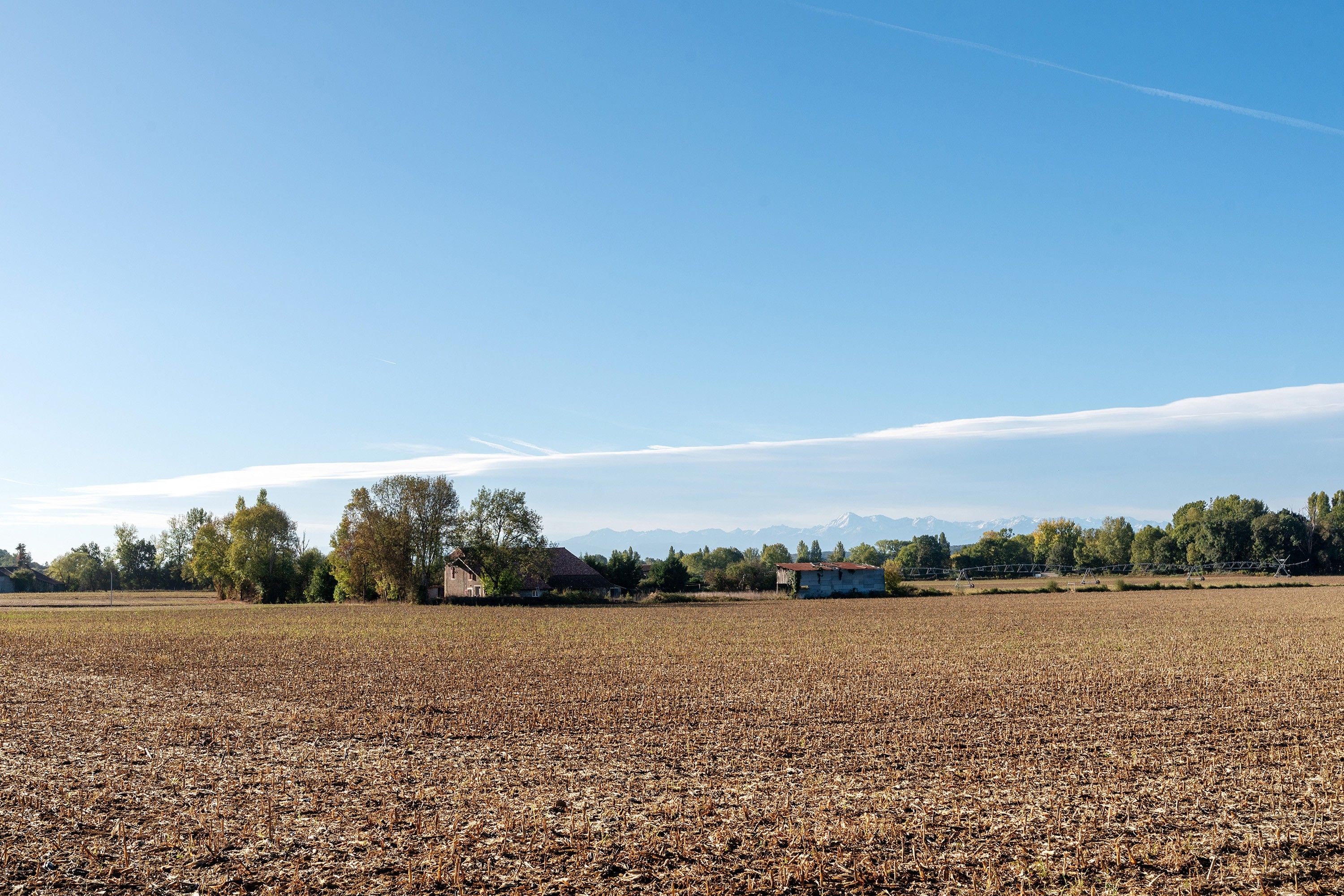 Ein weites Feld mit klarem Himmel und fernen Bergen.
