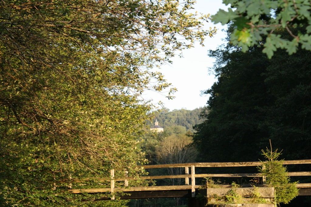 A wooden bridge over a body of water with dense foliage on either side.