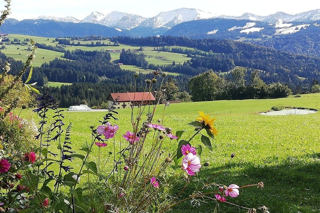 A rural landscape with a house, green fields, and mountains in the background.
