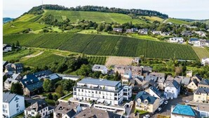 Uklassifisert bilde, 3 av 13, knapp