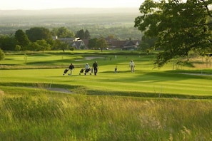 A golf course with a clear view of the fairway, sand bunkers, and a distant town. - House with a view of the church (Schliengen-Mauchen)