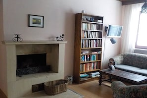 A living room with a fireplace, a bookshelf, a sofa, and a television. - Holiday apartment with 1 bedroom (Konzell)