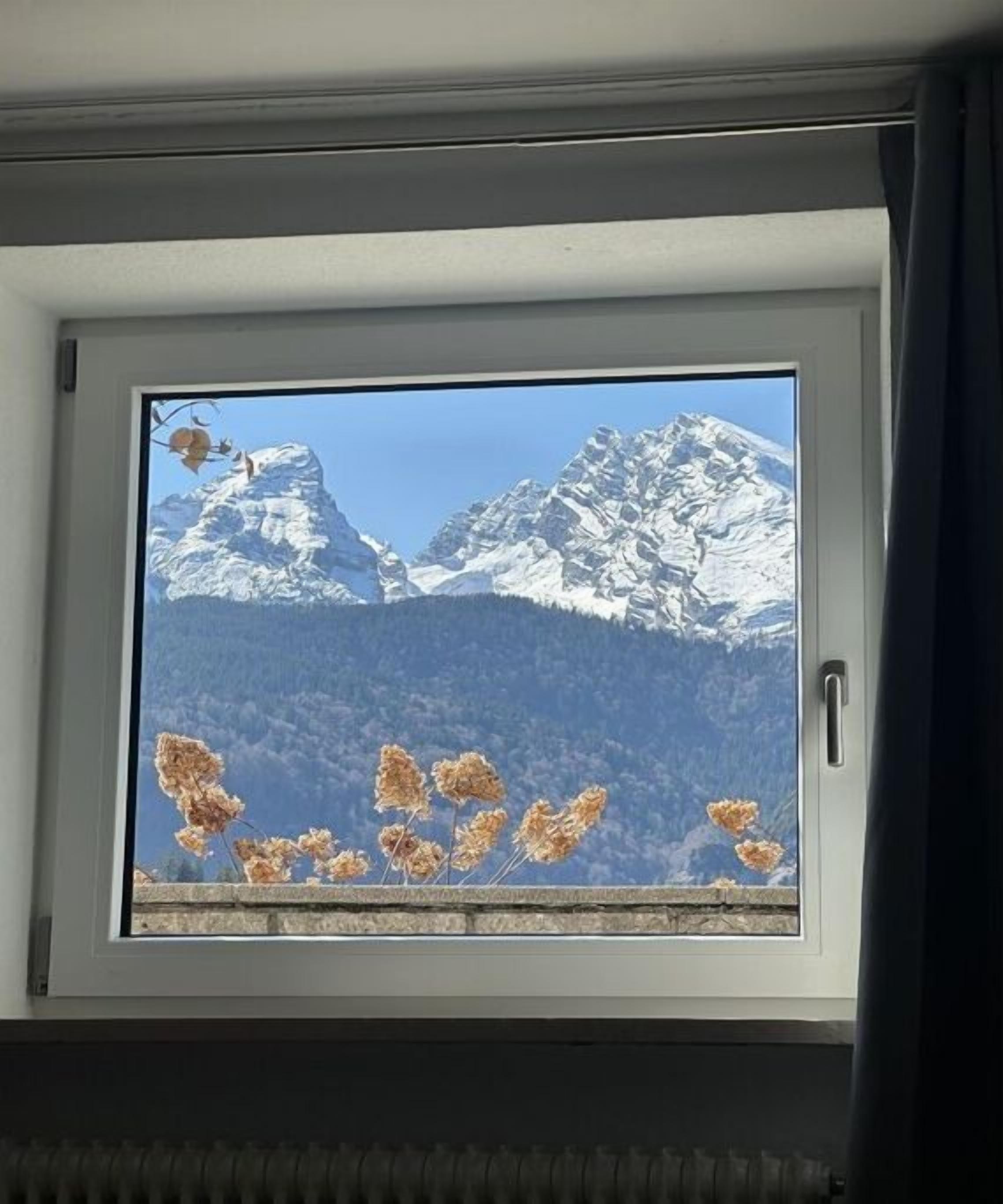 Ett fönster med utsikt över snöklädda berg och torkade blommor på fönsterbrädan.