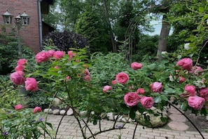 A garden with pink roses and a brick building in the background. - Holiday apartment with 3 bedrooms (Schiffdorf)